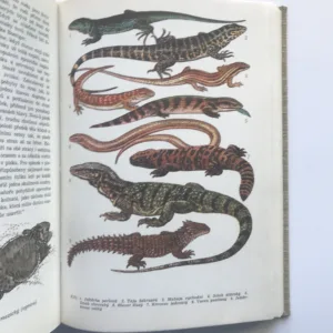 Světem zvířat IV – Pláštěnci, bezlebeční, ryby, obojživelníci a plazi, Jan Hanzák, Jiří Felix, Stanislav Frank, Jiří Vostradovský, Antonín Pospíšil