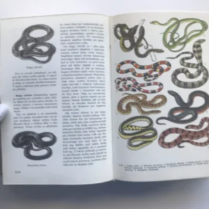 Světem zvířat IV – Pláštěnci, bezlebeční, ryby, obojživelníci a plazi, Jan Hanzák, Jiří Felix, Stanislav Frank, Jiří Vostradovský, Antonín Pospíšil