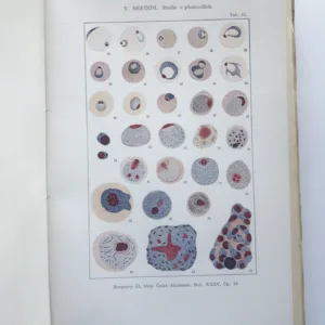 Rozpravy České akademie věd a umění (Třída II – mathematicko-přírodnická), ročník XXXV