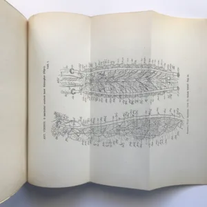 Rozpravy České akademie věd a umění (Třída II – mathematicko-přírodnická), ročník XXXV