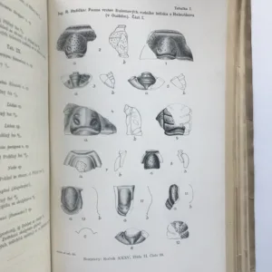Rozpravy České akademie věd a umění (Třída II – mathematicko-přírodnická), ročník XXXV