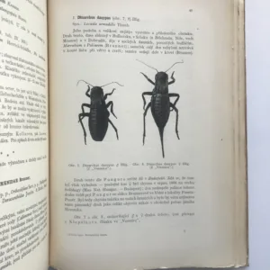 Rovnokřídlý hmyz Republiky československé, Jan Obenberger