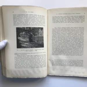 Sborník přírodovědecký, svazek II