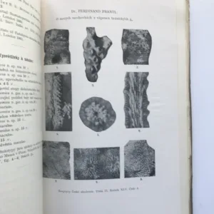 Rozpravy České akademie věd a umění (Třída II – matematicko-přírodnická), ročník XLV (neúplné - viz obsah)