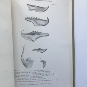 Rozpravy České akademie věd a umění (Třída II – matematicko-přírodnická), ročník XLV (neúplné - viz obsah)