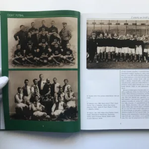 Český fotbal 1901/2001, Jaroslav Šálek