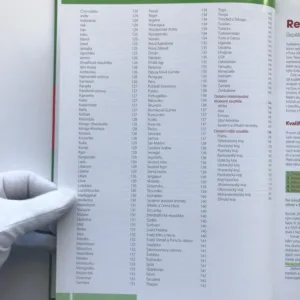 Fotbal 2003-2004, Kamil Popelář, Martin Werner