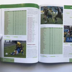 Fotbal 2003-2004, Kamil Popelář, Martin Werner