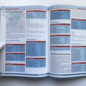 Hokej 2002-2003 (Velká ročenka českého a světového hokeje), Jiří Lacina, Kamil Popelář