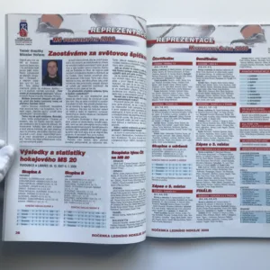 Ročenka ledního hokeje 2008