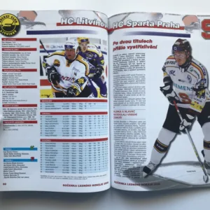 Ročenka ledního hokeje 2008