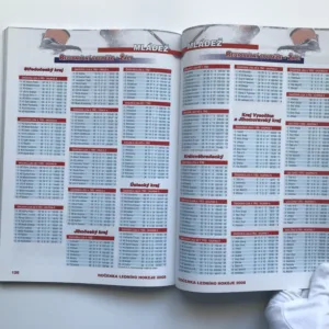 Ročenka ledního hokeje 2008