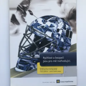 Ročenka ledního hokeje 2008