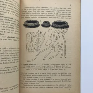 Monographia Cyphellacearum Čechosloveniae (II. Část systematická), Albert Pilát