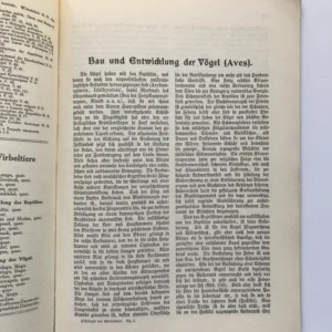 Vergleichende Histologie der Wirbeltiere – Bau und Entwicklung der Vögel (Aves), Fr. Sigmund