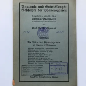 Anatomie und Entwicklungs-Geschichte der Phanerogamen – Die Blüte der Phanerogamen, Fr. Sigmund