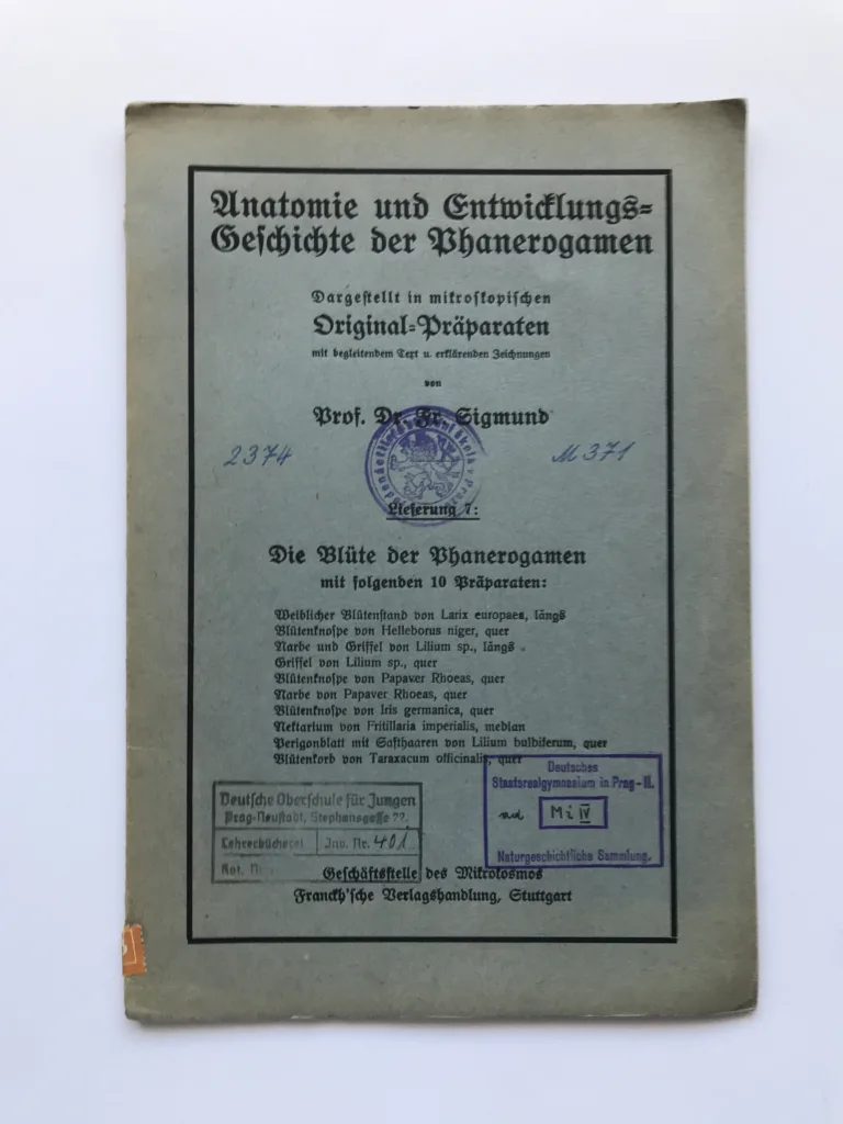 Anatomie und Entwicklungs-Geschichte der Phanerogamen – Die Blüte der Phanerogamen, Fr. Sigmund