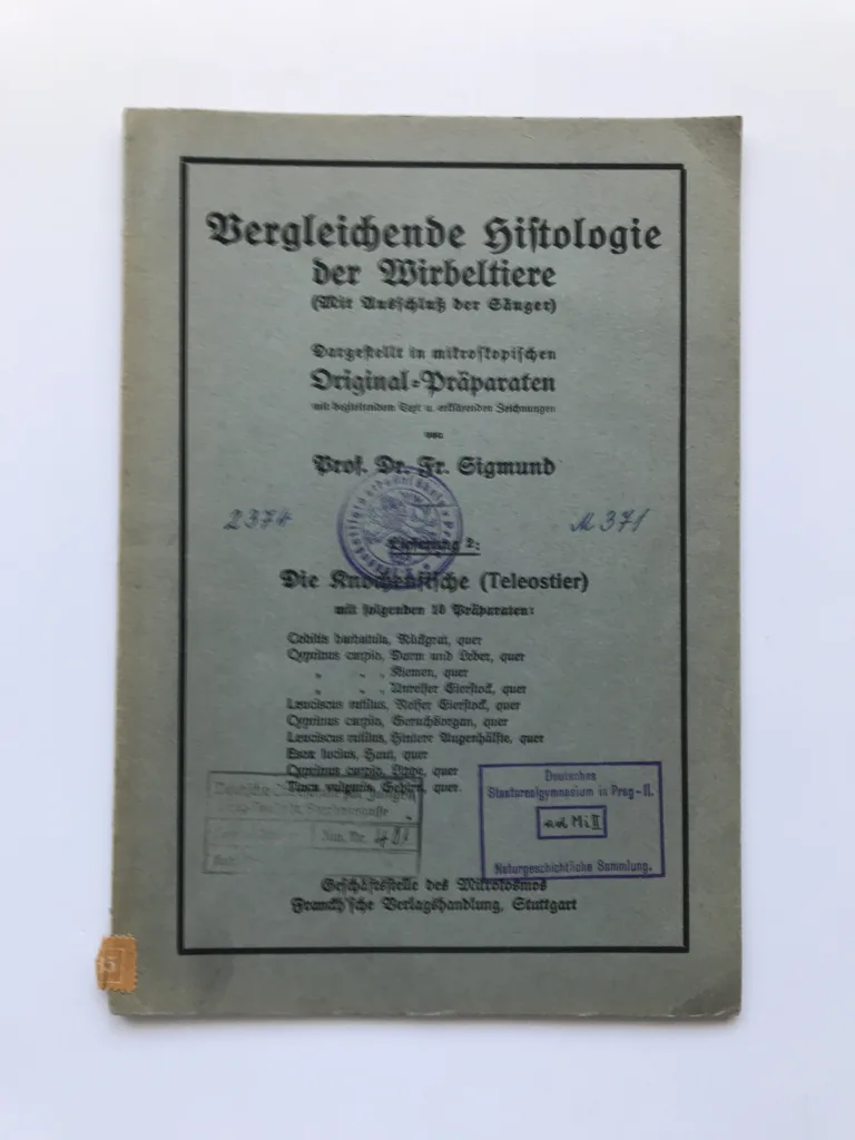 Vergleichende Histologie der Wirbeltiere – Die Knochenfische (Teleostier), Fr. Sigmund