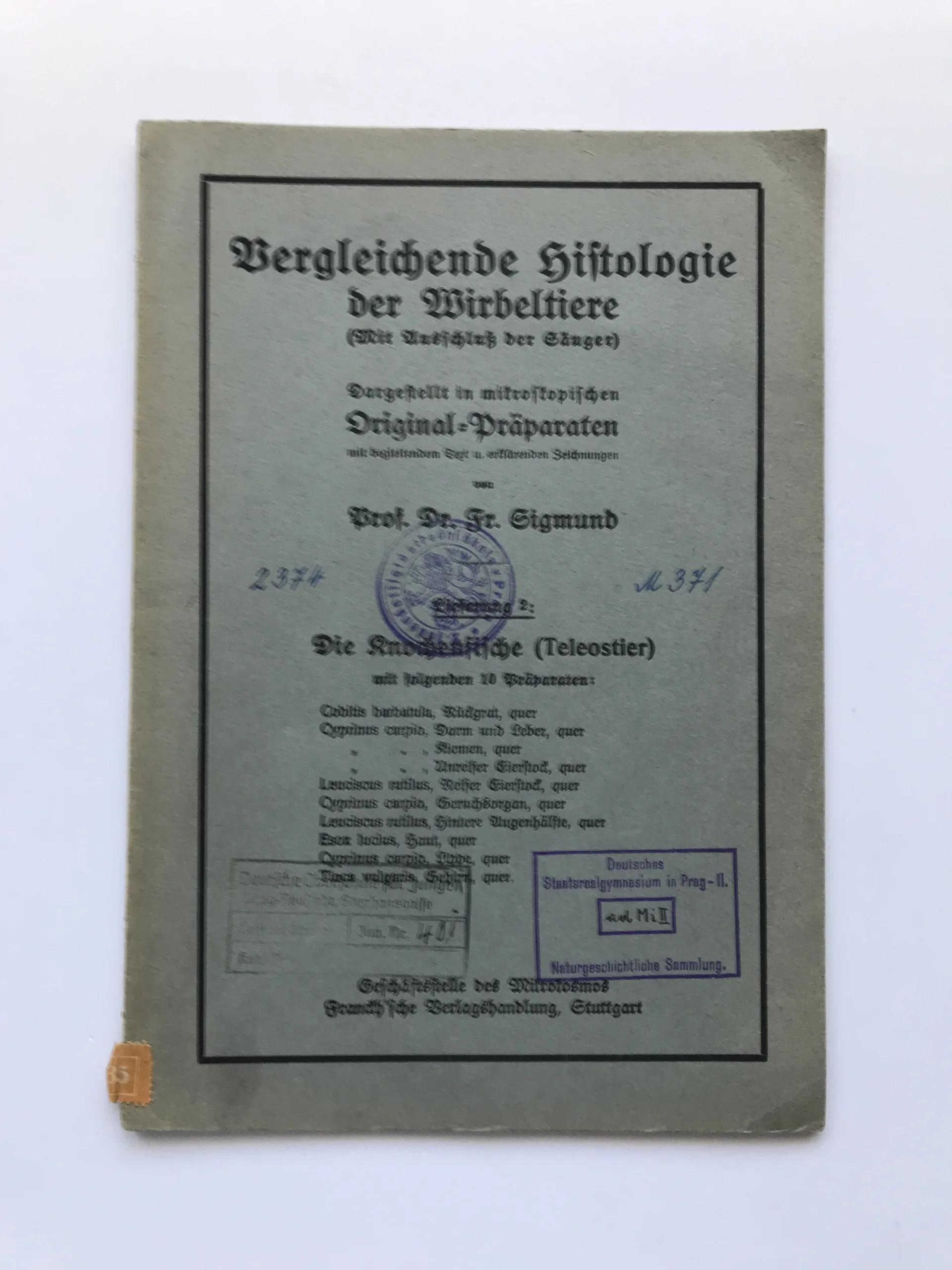Vergleichende Histologie der Wirbeltiere – Die Knochenfische (Teleostier), Fr. Sigmund