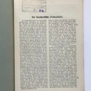 Vergleichende Histologie der Wirbeltiere – Die Knochenfische (Teleostier), Fr. Sigmund