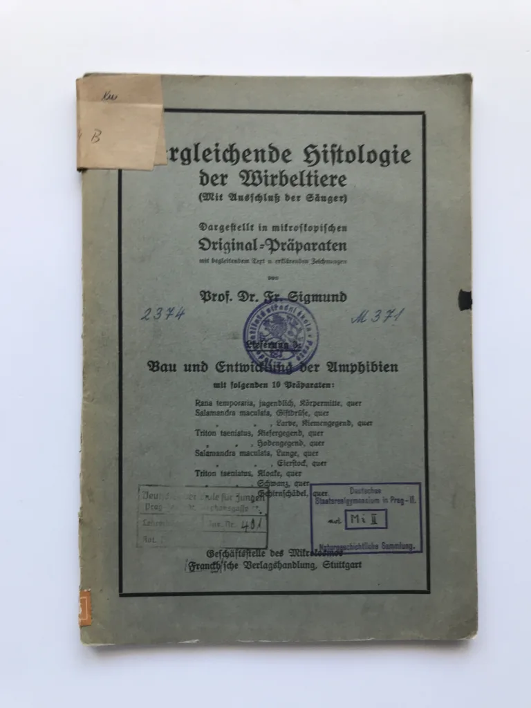 Vergleichende Histologie der Wirbeltiere – Bau und Entwicklung der Amphibien, Fr. Sigmund