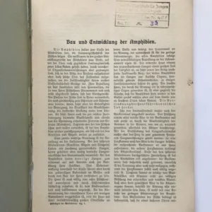 Vergleichende Histologie der Wirbeltiere – Bau und Entwicklung der Amphibien, Fr. Sigmund