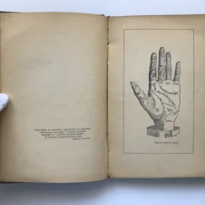 Pour lire dans les mains, Mario Darmand