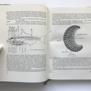 Akvaristika, Günther Sterba
