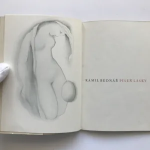 Píseň lásky, Kamil Bednář, Ludmila Jiřincová