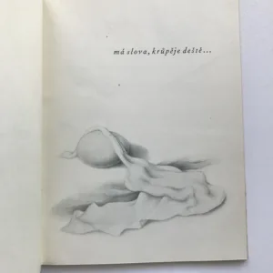 Píseň lásky, Kamil Bednář, Ludmila Jiřincová