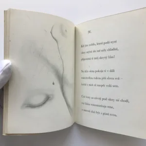 Píseň lásky, Kamil Bednář, Ludmila Jiřincová