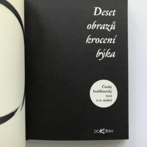 Deset obrazů krocení býka, neznámý autor