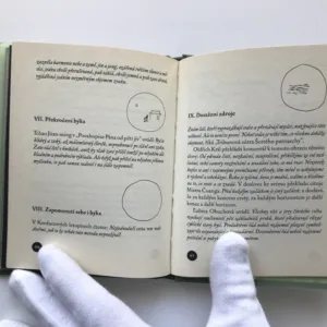 Deset obrazů krocení býka, neznámý autor