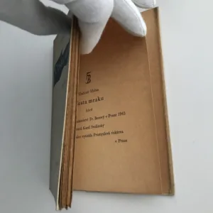 Cesta mraku, Vladimír Holan