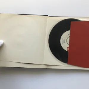 Moje píseň (s gramodeskou), Karel Havlíček Borovský