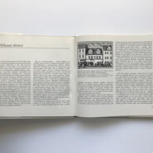 Poutník Mácha, Jan Čáka