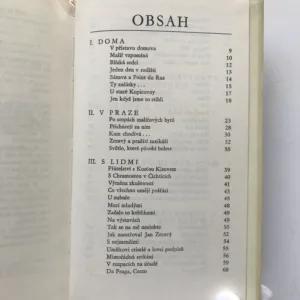 Chvilky s Janem Zrzavým, Ladislav Langpaul