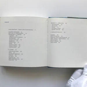 Z mého života a z mé dílny, Alfred Kubin