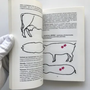 Farmaceutické suroviny těžené v masném průmyslu, Jiří Moravec, Renáta Jirmusová, Václav Čížek