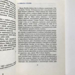 Snění o Evropě, Jiří Dienstbier