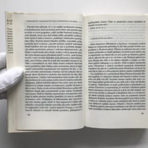 O umění a kultuře III, Karel Čapek