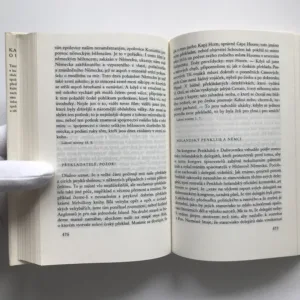 O umění a kultuře III, Karel Čapek