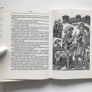 Kamenný stolec (Mozaika o Kosmovi a jeho kronice), Lukáš Luhan