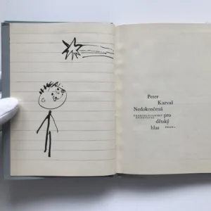 Nedokončená pro dětský hlas, Peter Karvaš