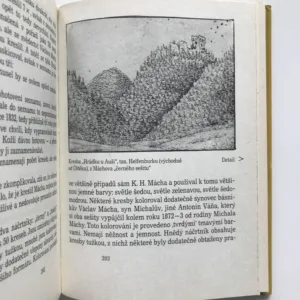 Důvěrná zpráva o Karlu Hynku Máchovi, Miroslav Ivanov