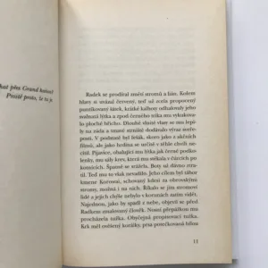 Bleděmodrý kaviár, Soňa Štroblová