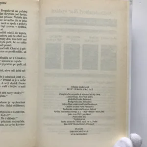 Muž jenom pro mě, Johanna Lindseyová