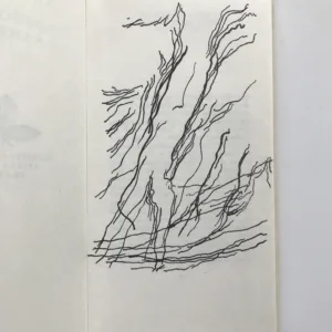 Rozhovor s kamenem, Marie Kubátová