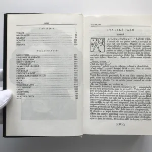 Podobizna s konvalinkou, Jan Piasecki