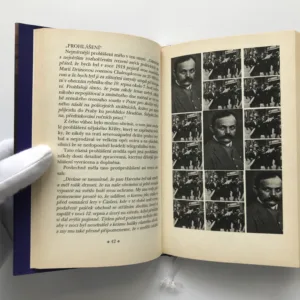 Jak bylo, jest a bude? aneb Politické karikatury, Jaroslav Hašek